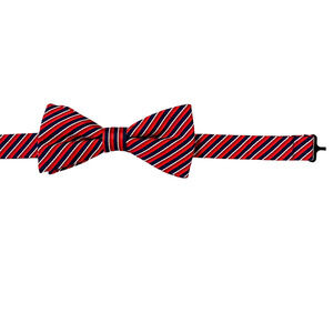 Countess Mara Mens Red Navy Striped Bow Tie
